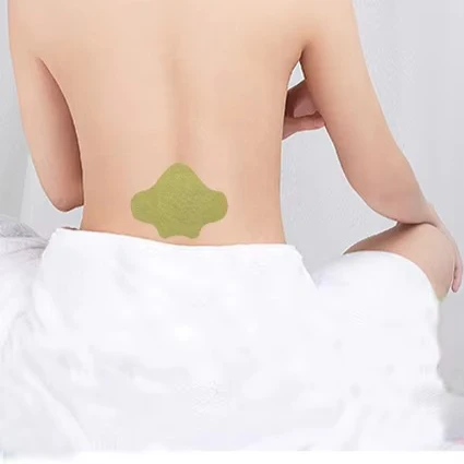 Natural Herbal Lumbar Spine Patch - Image 3